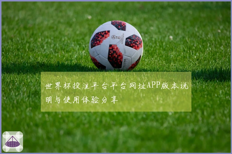 世界杯投注平台平台网址APP版本说明与使用体验分享