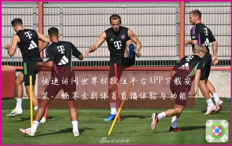 快速访问世界杯投注平台APP下载安装，畅享全新体育直播体验与功能指南