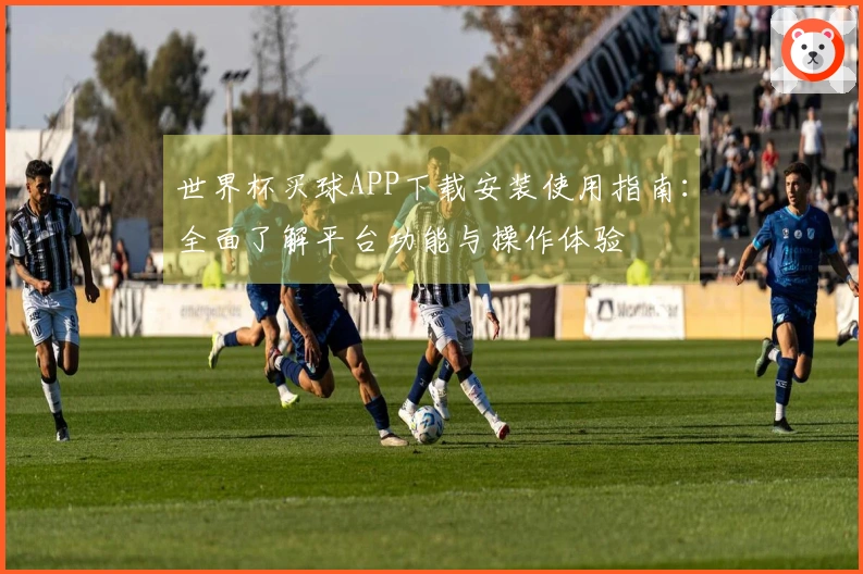 世界杯买球APP下载安装使用指南：全面了解平台功能与操作体验