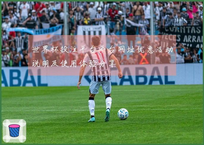 世界杯投注平台平台网址优惠活动说明及使用体验分享