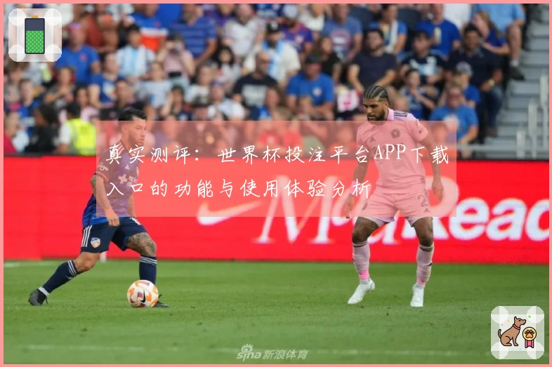 真实测评：世界杯投注平台APP下载入口的功能与使用体验分析