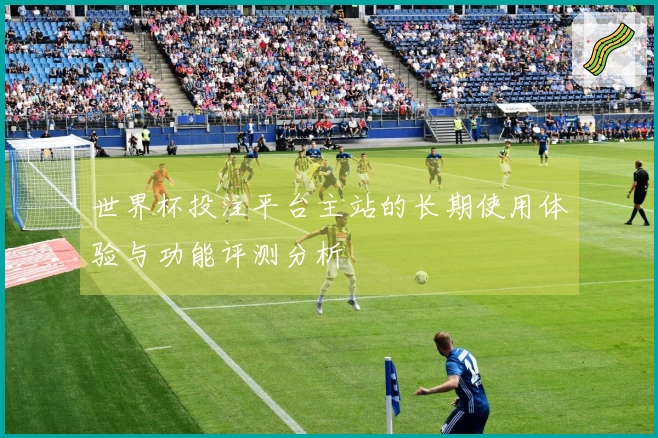 世界杯投注平台主站的长期使用体验与功能评测分析