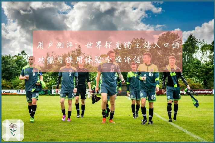 用户测评：世界杯竞猜主站入口的功能与使用体验全面评估