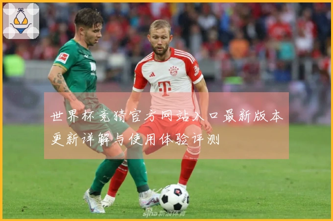 世界杯竞猜官方网站入口最新版本更新详解与使用体验评测